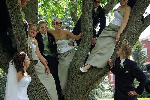 bridal party in tree